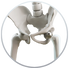 Complex Total Hip & Knee Replacement